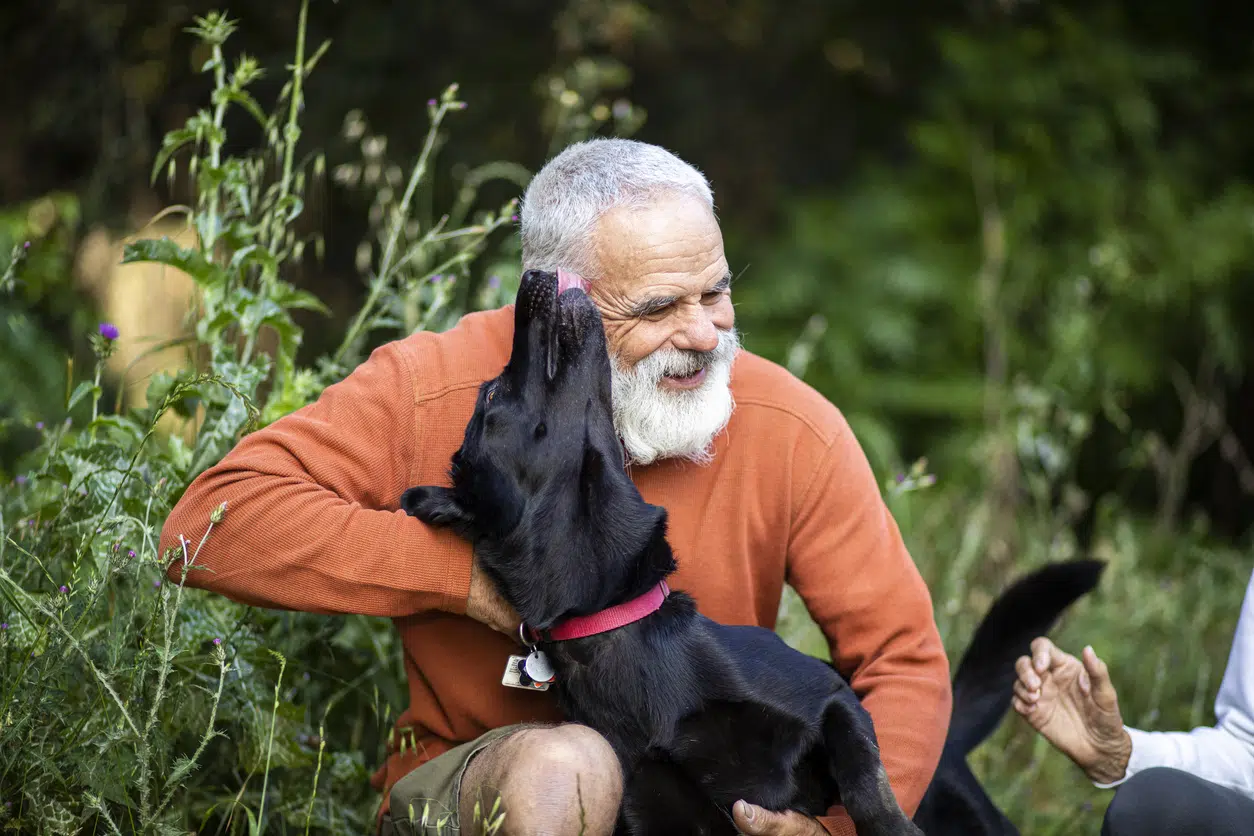 Active senior couple on a hike outdoors